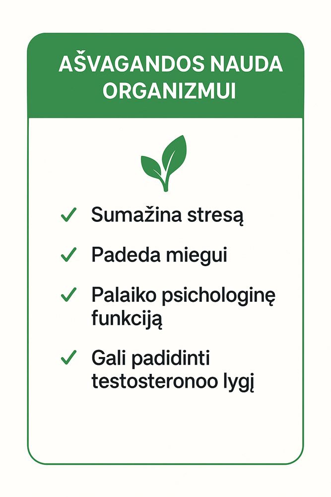 asvagandos nauda organizmui