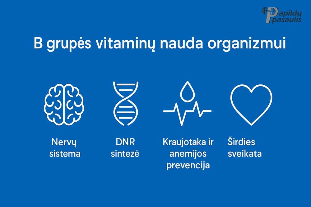 b grupes vitaminu nauda