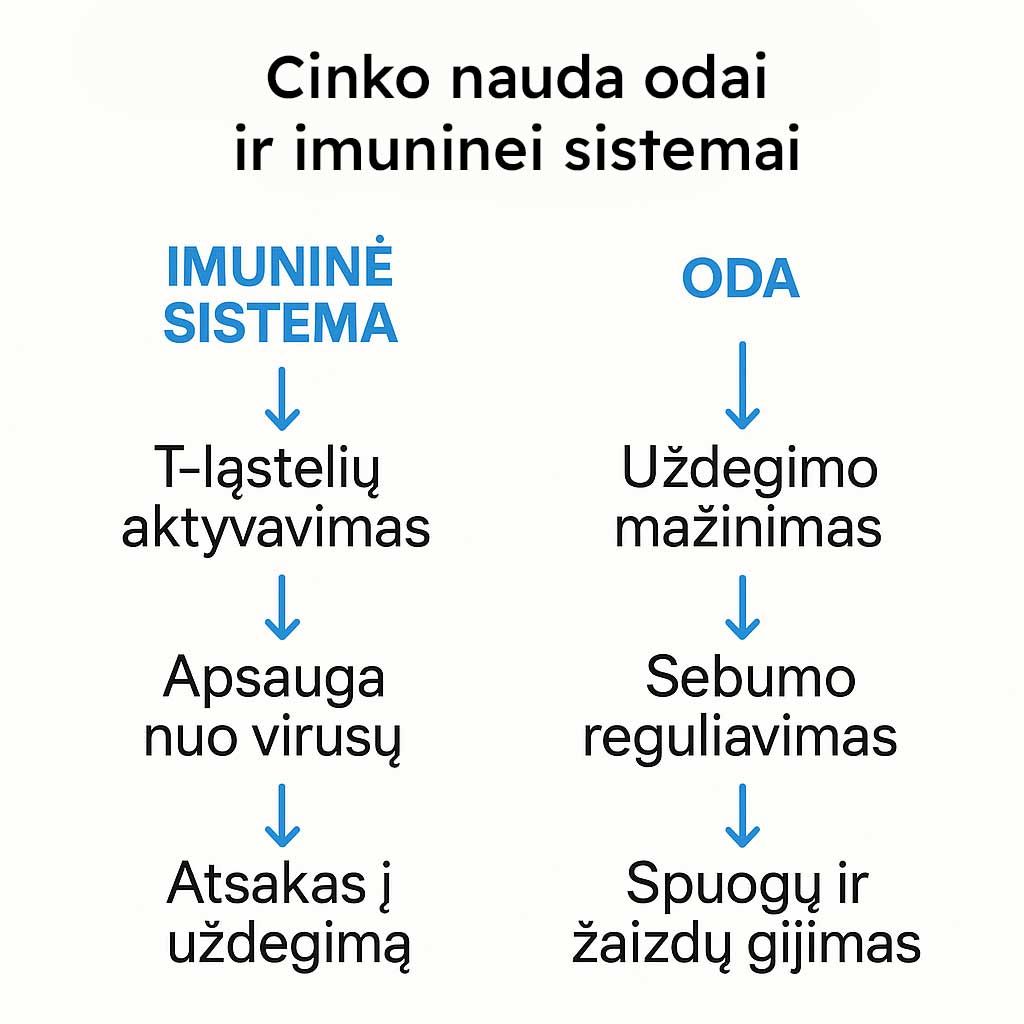 cinko nauda odai, imuninei sistemai
