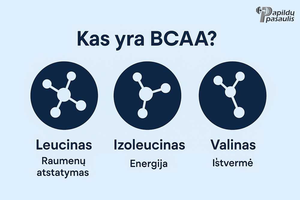kas yra bcaa
