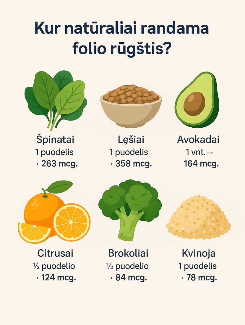 kur randama folio rugstis