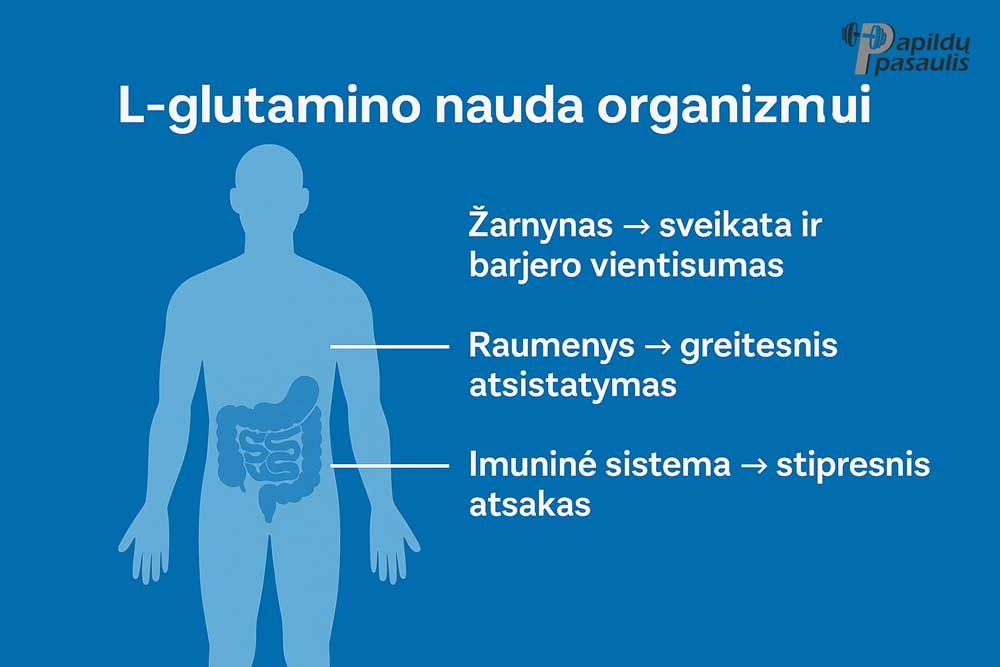 gliutamino nauda organizmui