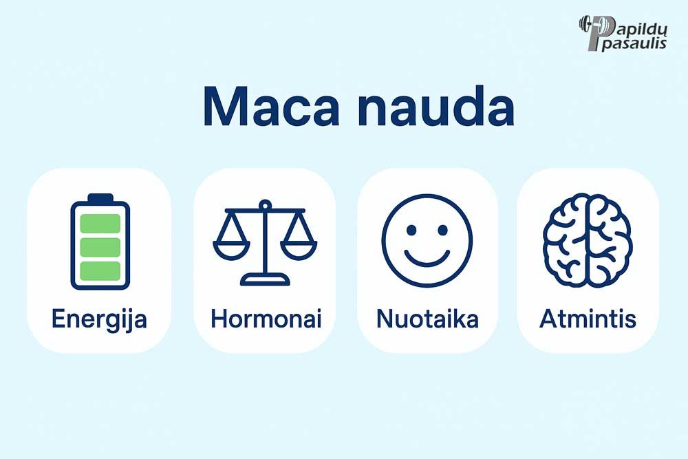 maca nauda