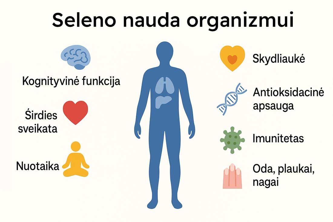 seleno nauda