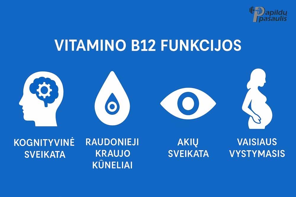 b12 vitamino funkcijos